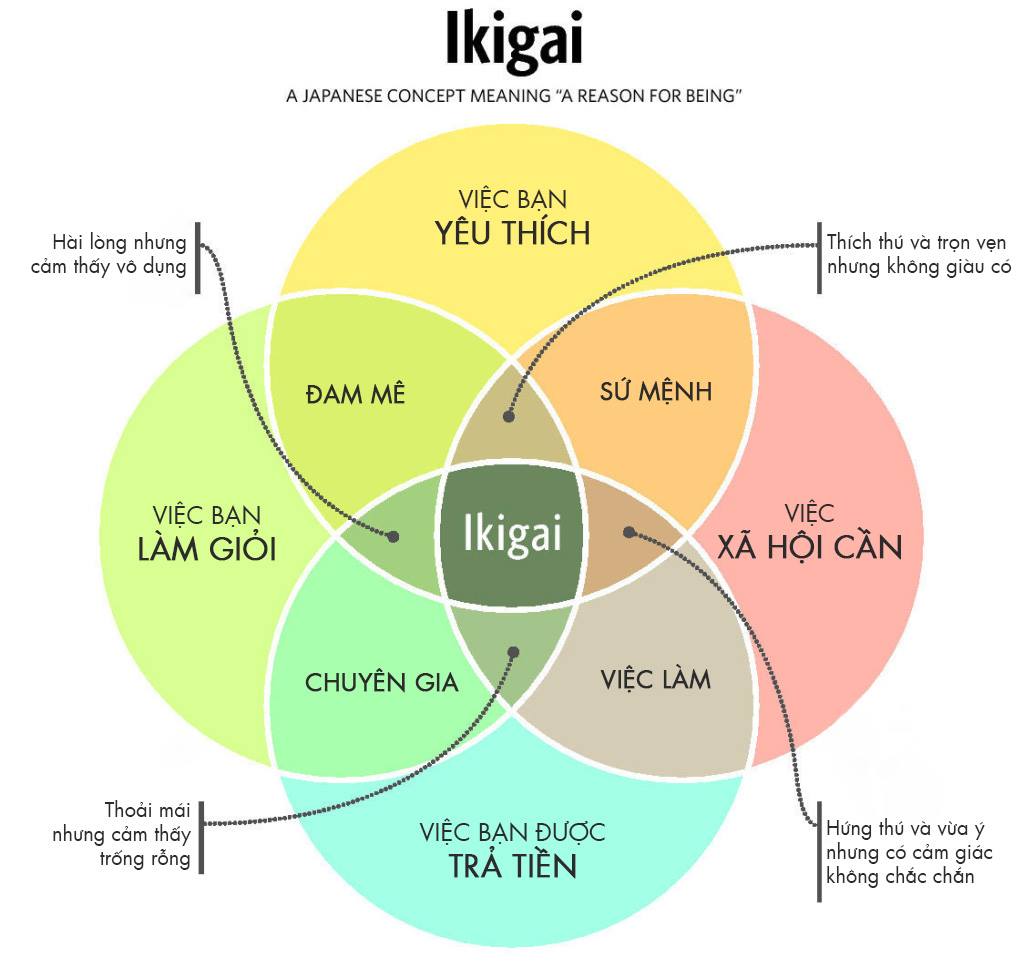 Vận dụng khái niệm IKIGAI trong xác định chủ đề viết blog